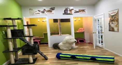 AAA Pet Resort - 2