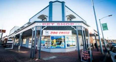 Armidale Pet Shop & Aquarium image
