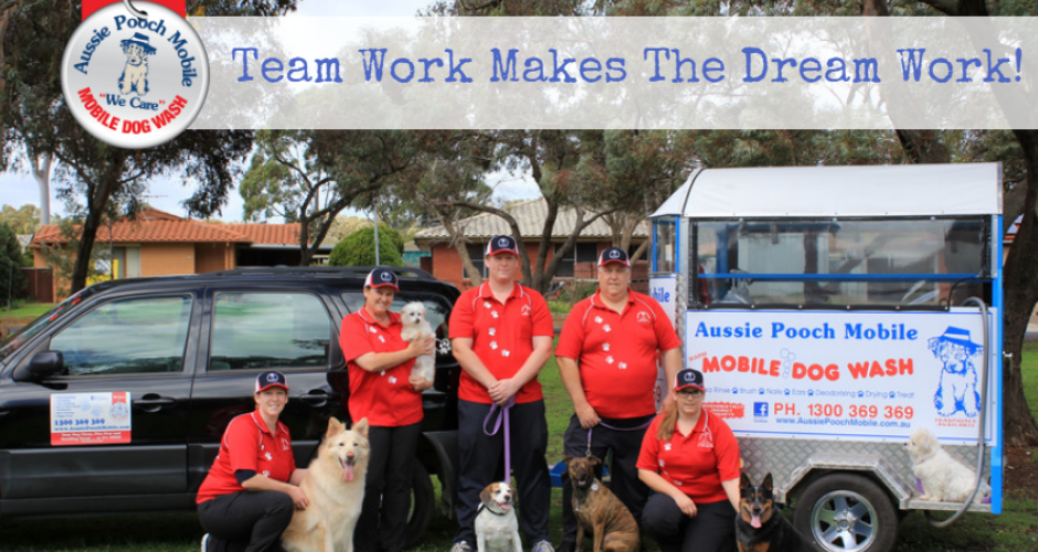 Aussie Pooch Mobile Dog Wash & Grooming - Queensland - 3