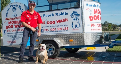 Aussie Pooch Mobile Dog Wash & Grooming - Queensland - 5