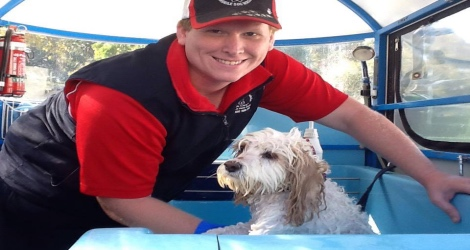 Aussie Pooch Mobile Dog Wash & Grooming - South Australia - 2