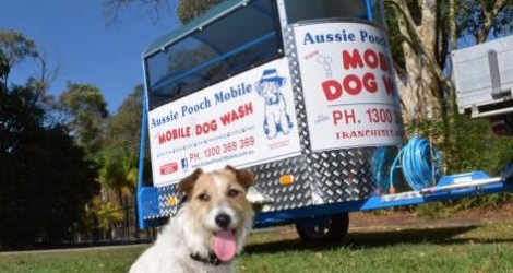 Aussie Pooch Mobile Dog Wash & Grooming - Victoria image