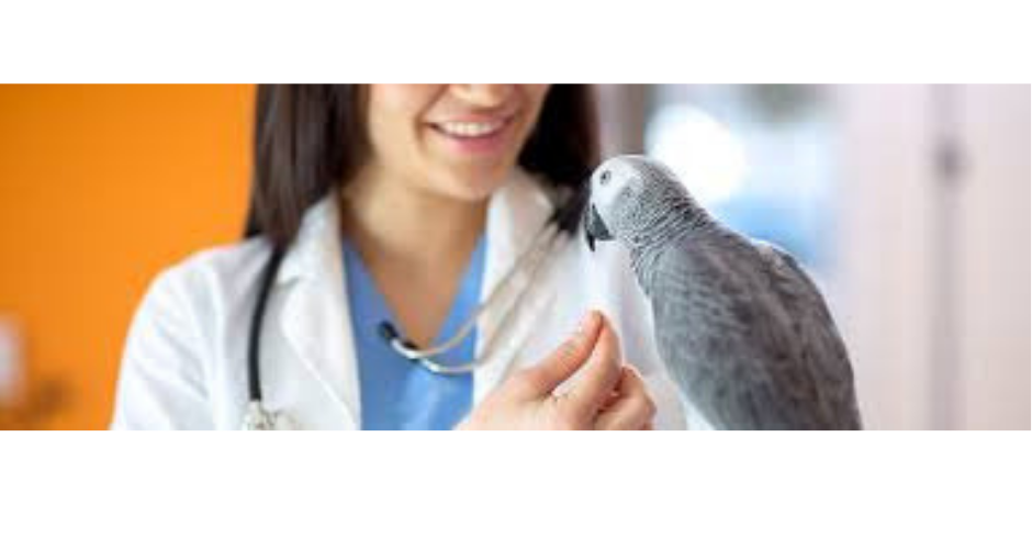 Bass Hill Veterinary Hospital - 3