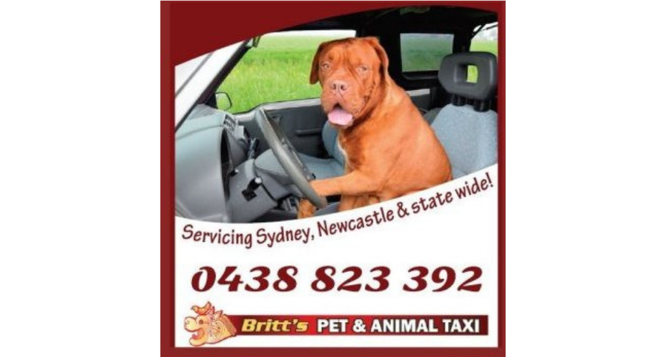 Britt's Pet And Animal Taxi - 1