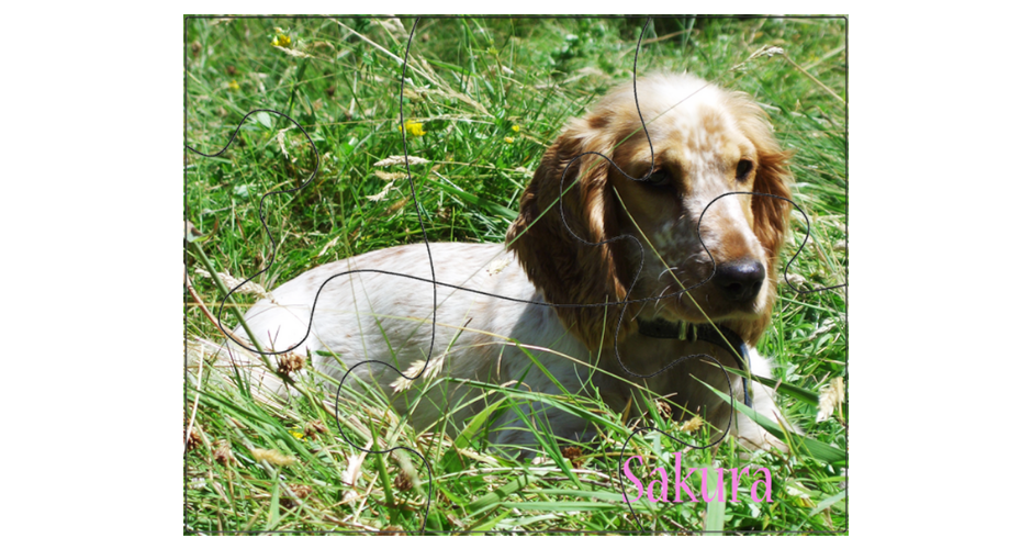 dmemories4u personalised puzzles - ACT (Delivery) - 3