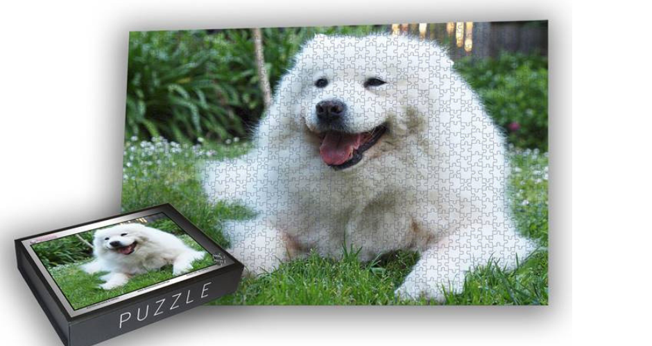 dmemories4u personalised puzzles - NSW (Delivery) image