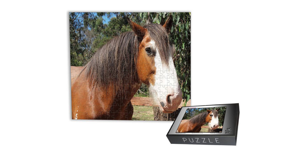 dmemories4u personalised puzzles - SA (Delivery) image