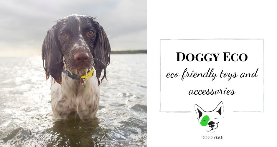 Doggy Hampers - TAS (Delivery) - 4