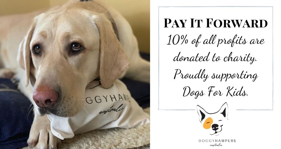 Doggy Hampers - TAS (Delivery) - 6