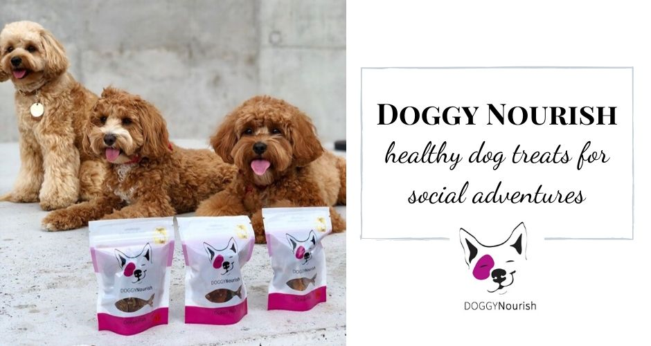 Doggy Hampers - VIC (Delivery) - 5