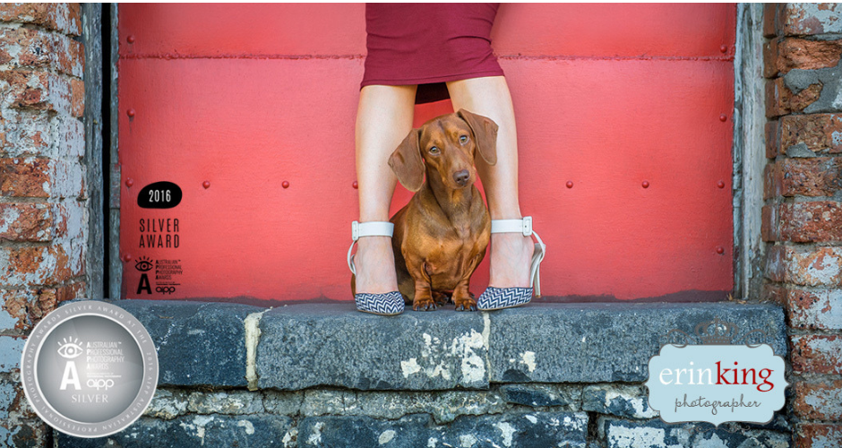 Erin King Pet Photography - Melbourne & Surrounds - 5