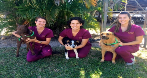 Girraween Veterinary Hospital image