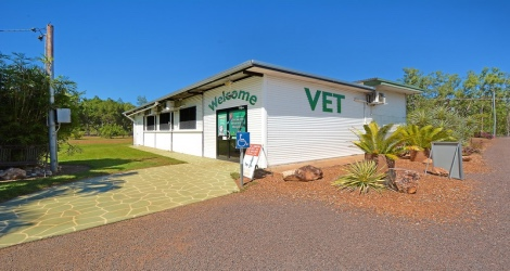 Girraween Veterinary Hospital - 3