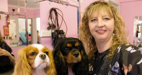 Gosford Grooming - Narara Salon - 5