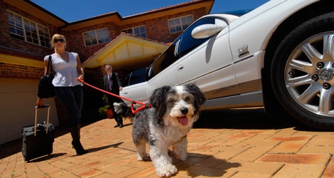Hanrob Pet Hotels - Brisbane - 7