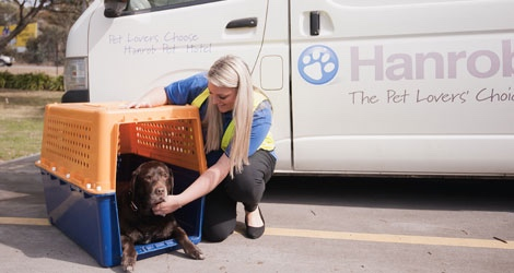 Hanrob Pet Hotels - Canberra - 5