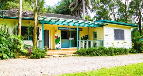 Hanrob Pet Hotels - Duffys Forest - 4
