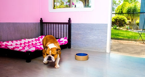 Hanrob Pet Hotels - Heathcote - 2