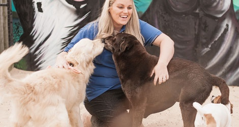 Hanrob Pet Hotels - Heathcote - 7