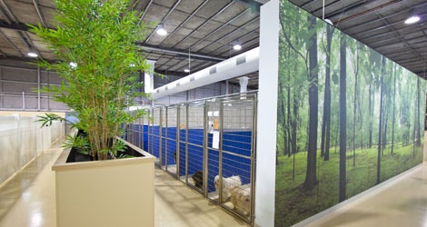 Hanrob Pet Hotels - Melbourne - 2