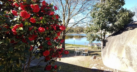Hidden Creek Winery & Café - 2