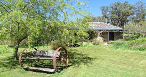 Hollow Log Estate - 1
