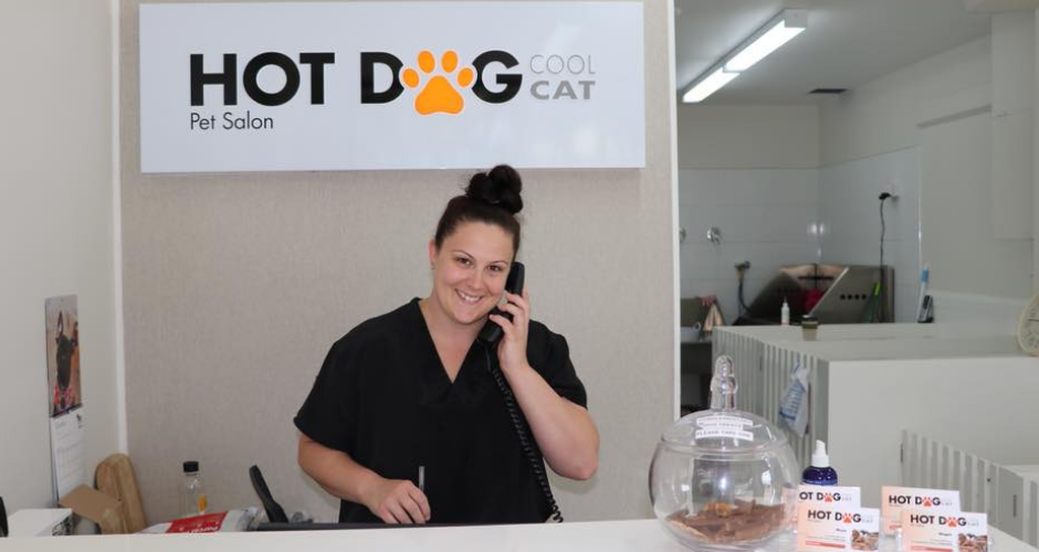 Hot Dog Cool Cat Grooming - 6