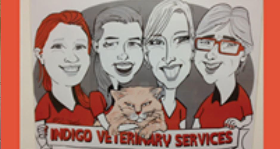 Indigo Veterinary Services - 1