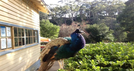 Jubilee Lake Holiday Park - 4