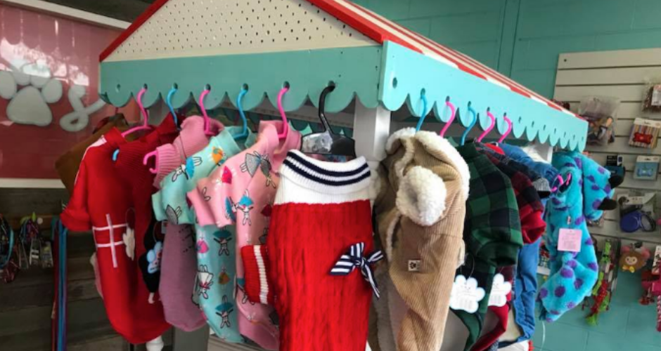 Just 4 Paws Gymea - 4