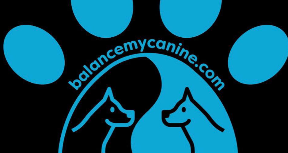K9 Country Farmstay- Doggy Day Care & Training - 5