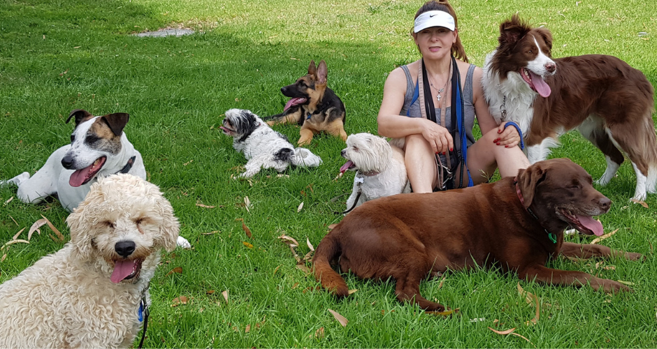 Love Your Pet - Melbourne & Suburbs - 4