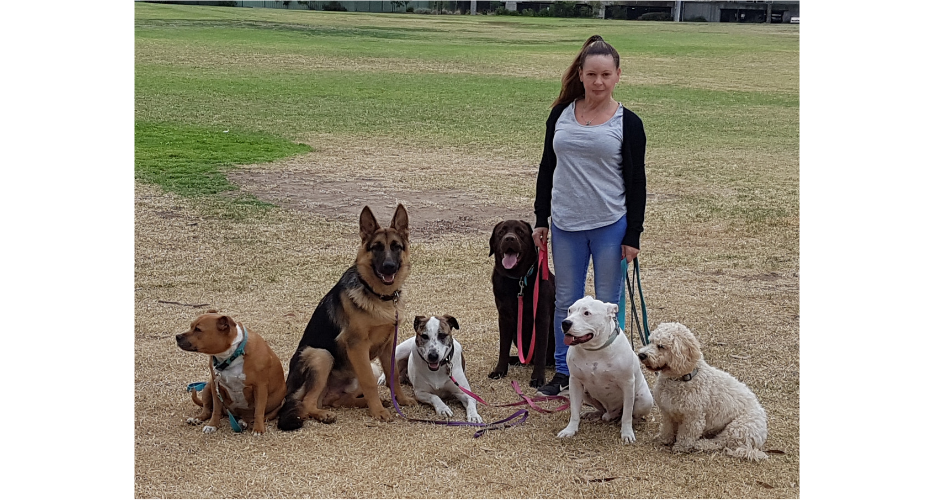Love Your Pet - Melbourne & Suburbs - 5