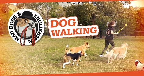 Mad Dogs & Englishmen - Inner West Sydney - 1