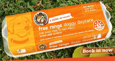 Mad Dogs & Englishmen - Ryde - 2