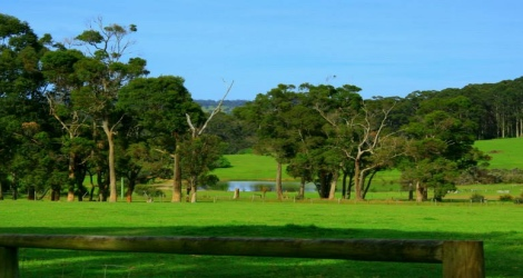 Misty Valley Country Cottages - 5