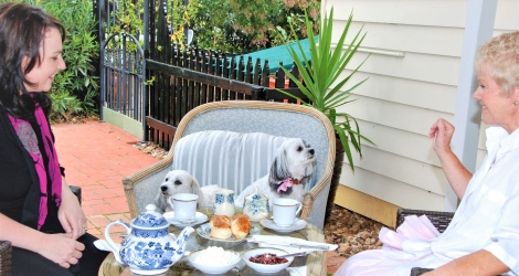 Must Love Dogs B&B and Self-Contained Cottage - 3
