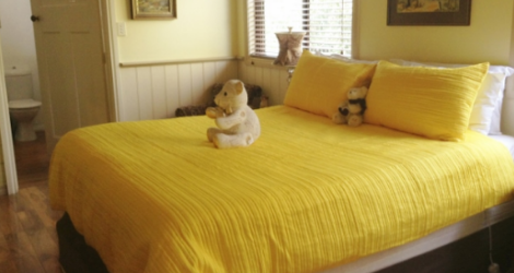Must Love Dogs B&B and Self-Contained Cottage - 6