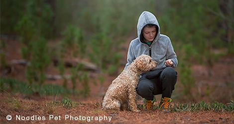 Noodles Pet Photography - 5