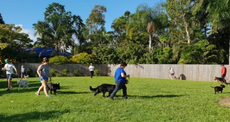 Northshore Pet Resort - 1