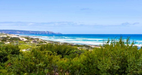Ocean Blue - Azure Beach Retreat - 4