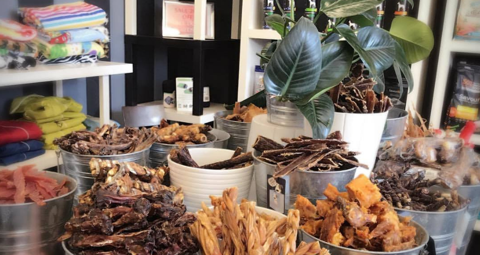 PawsAbout Grooming Salon- Coogee - 4