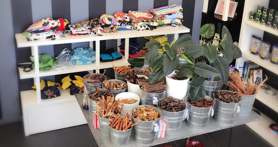 PawsAbout Grooming Salon- Coogee - 6