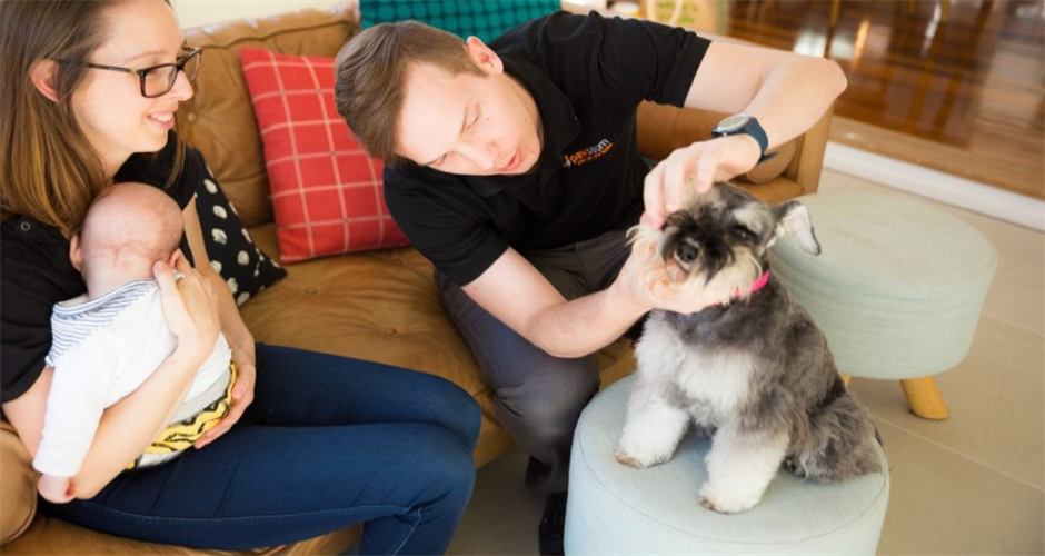 Pawssum - Adelaide - 3