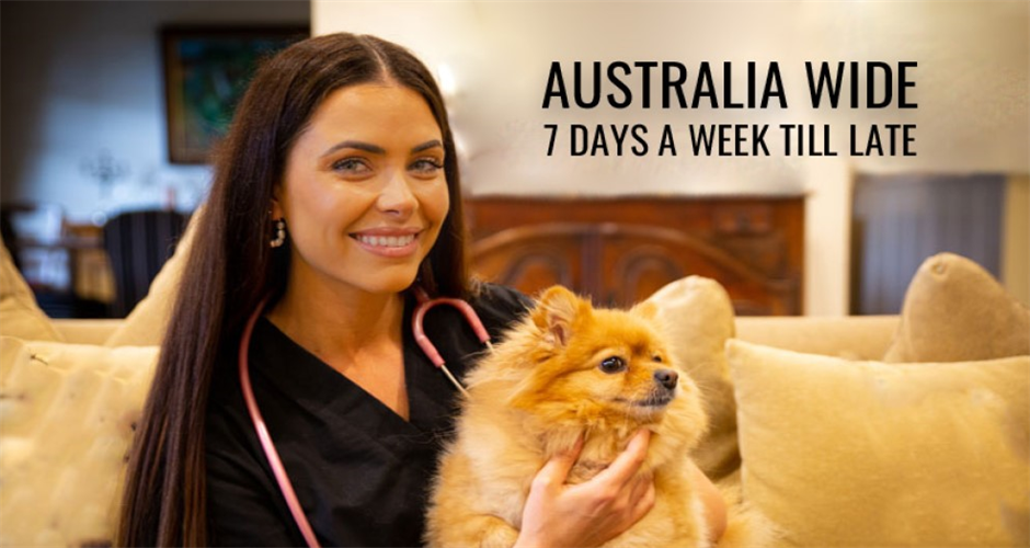 Pawssum - Canberra - 1