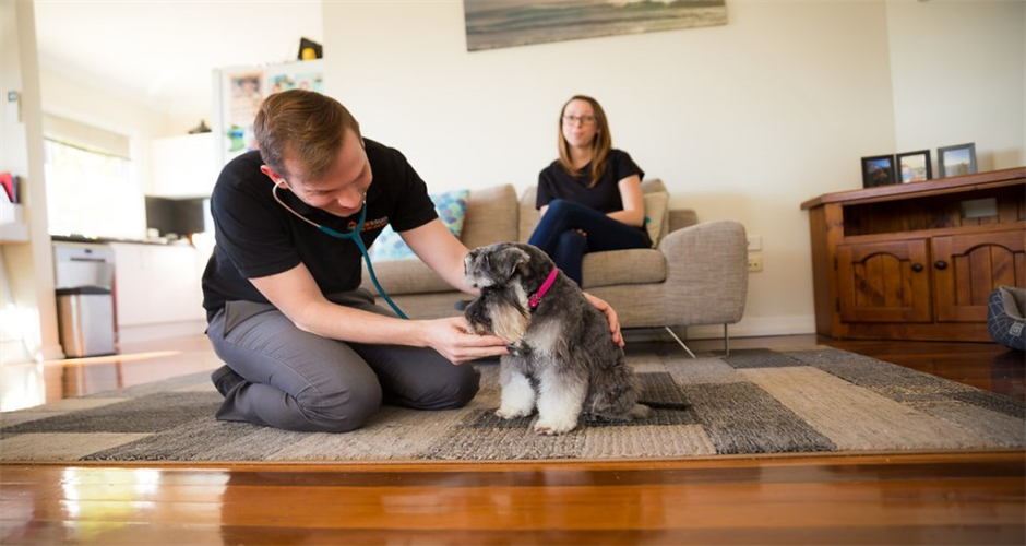 Pawssum - Melbourne & Bendigo - 3