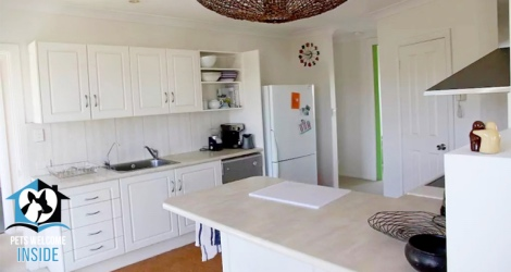 Pet Let - 28 Seagull Ave, Hayborough - 3