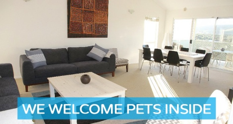 Pet Let - 28 Seagull Ave, Hayborough - 4