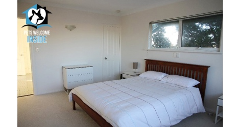 Pet Let - 28 Seagull Ave, Hayborough - 5