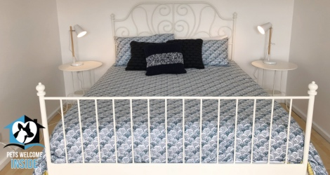 Pet Let - 44 Seagull Ave, Hayborough - 4